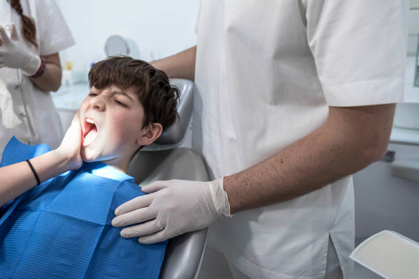 Best Emergency X-Rays and Diagnostics in Oakridge, OR